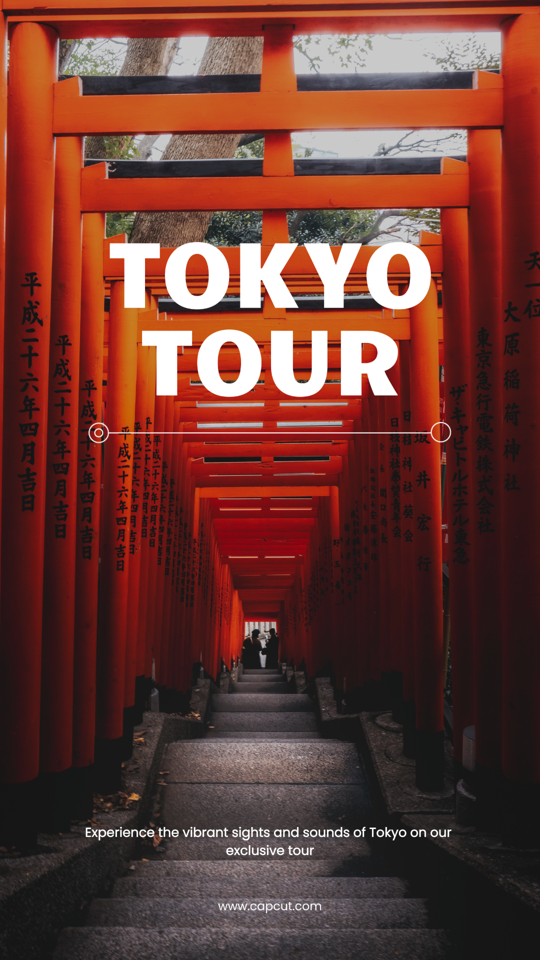 Reisemarketing Poster Instagram Story Tokio Tour