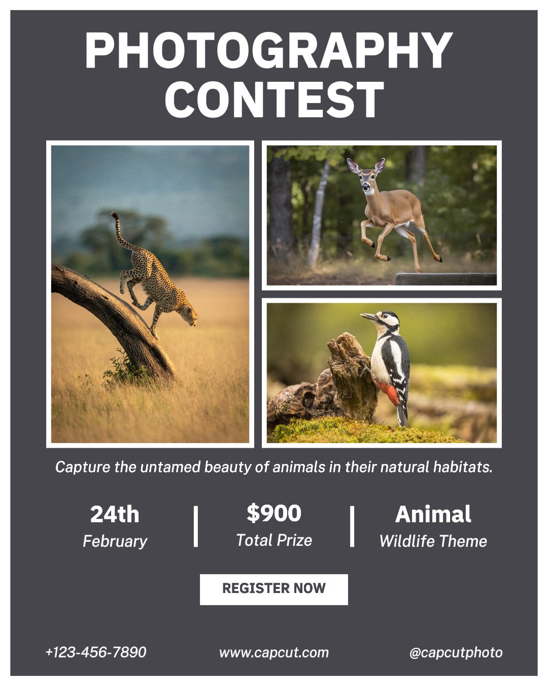 Concours de photographie Portrait Instagram