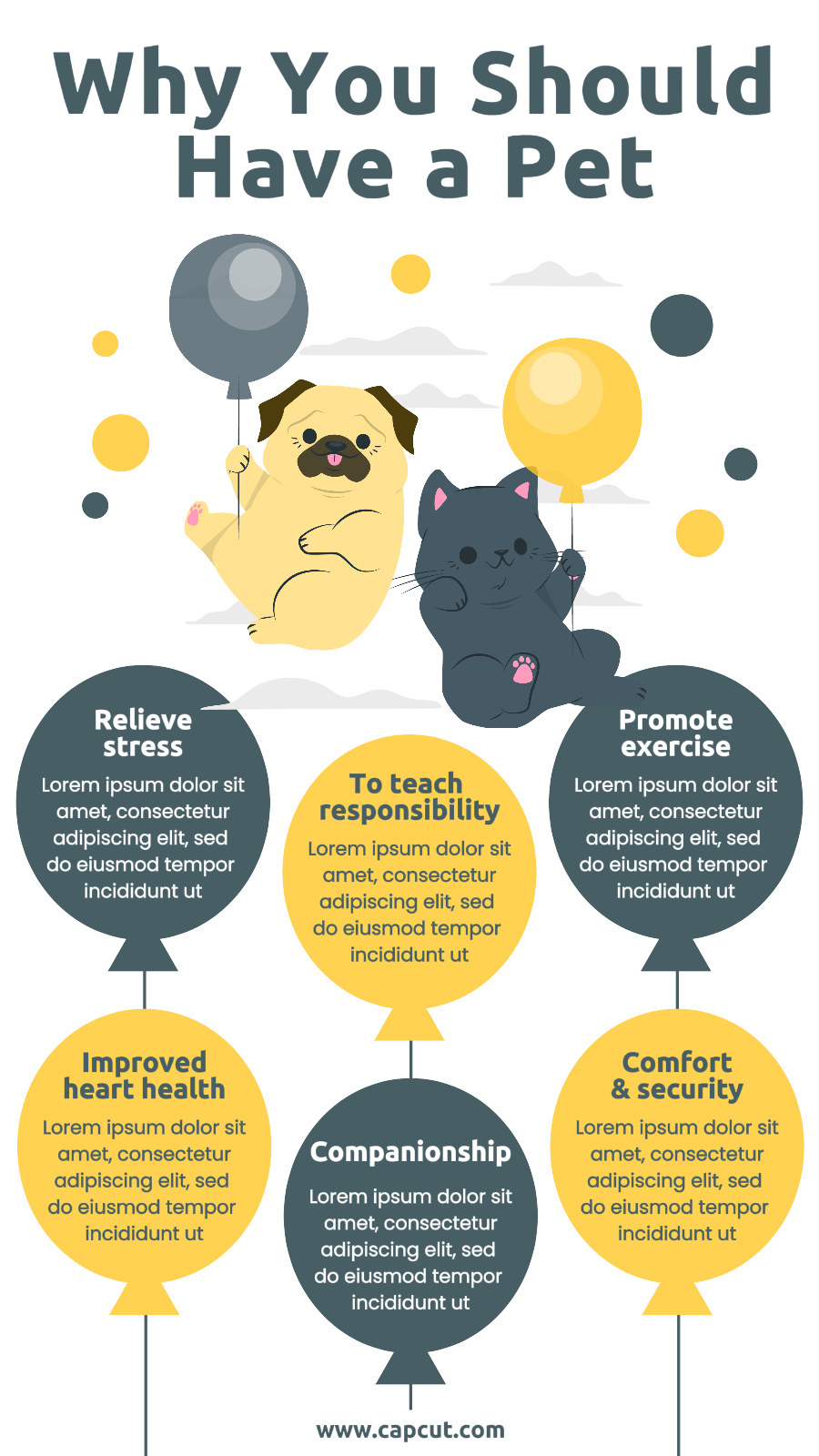 Why you should have a pet Infographic