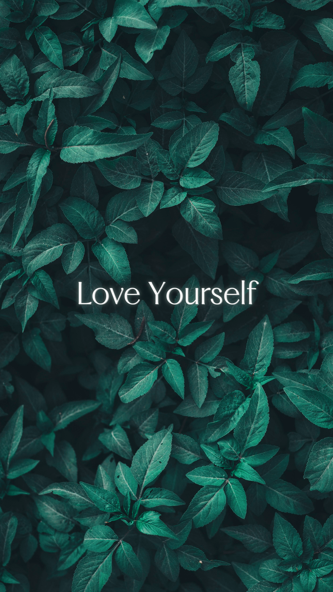 Wallpaper Creative Poster Plants