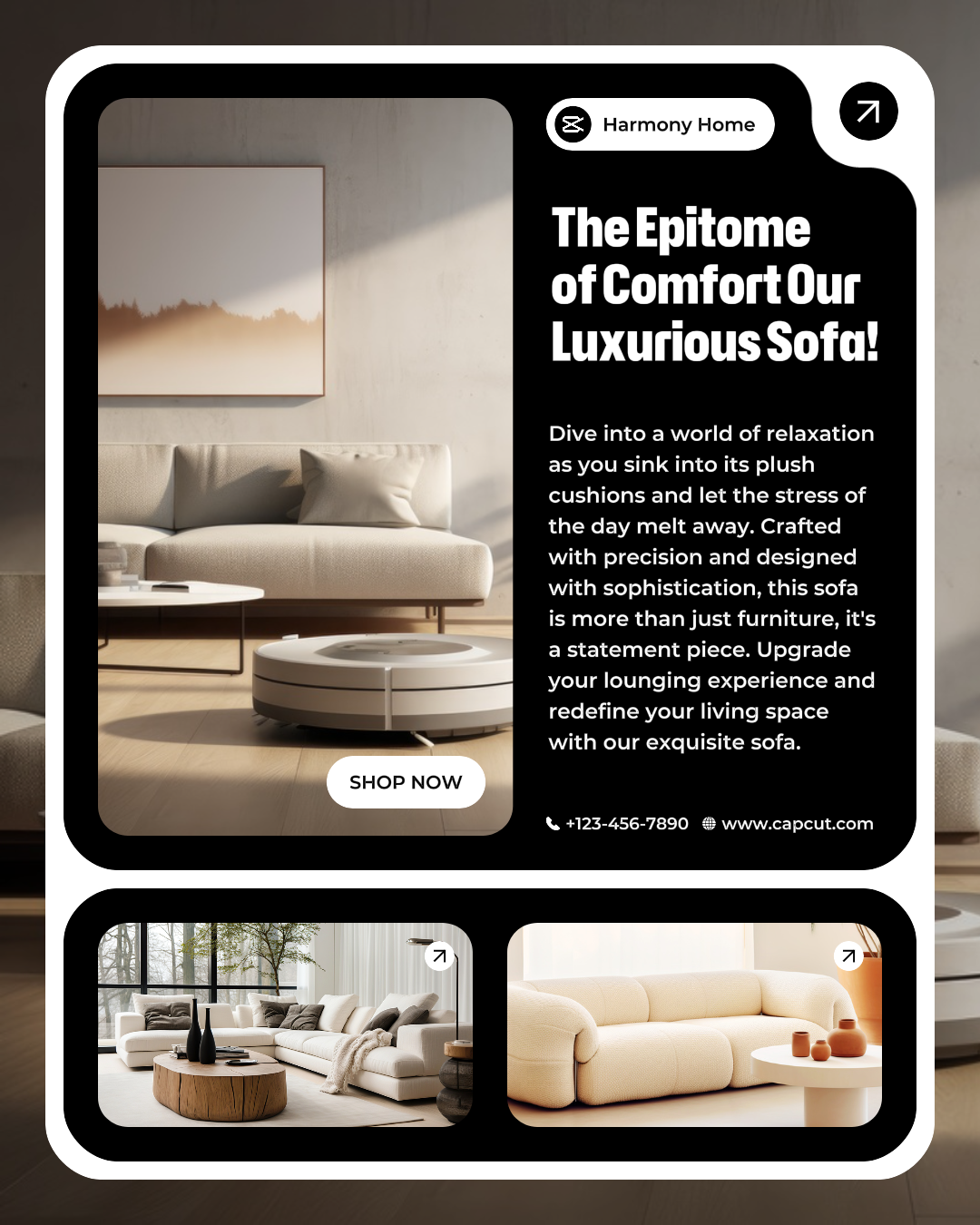 Muebles Sofá Producto Exhibición Instagram Retrato