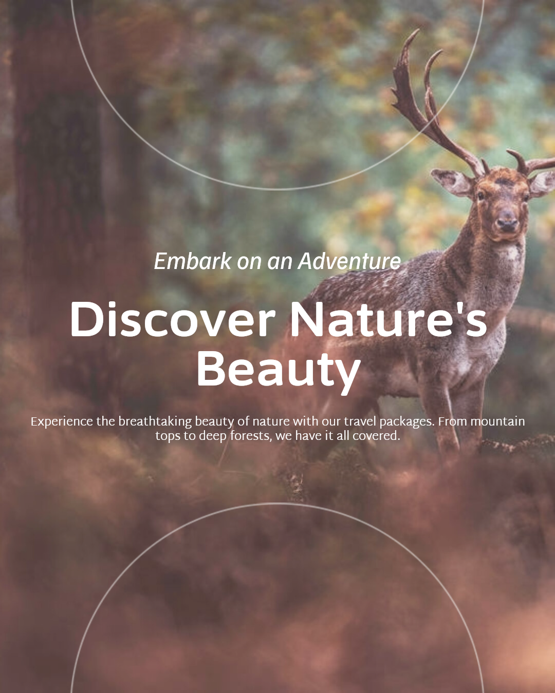 Industria de viajes General