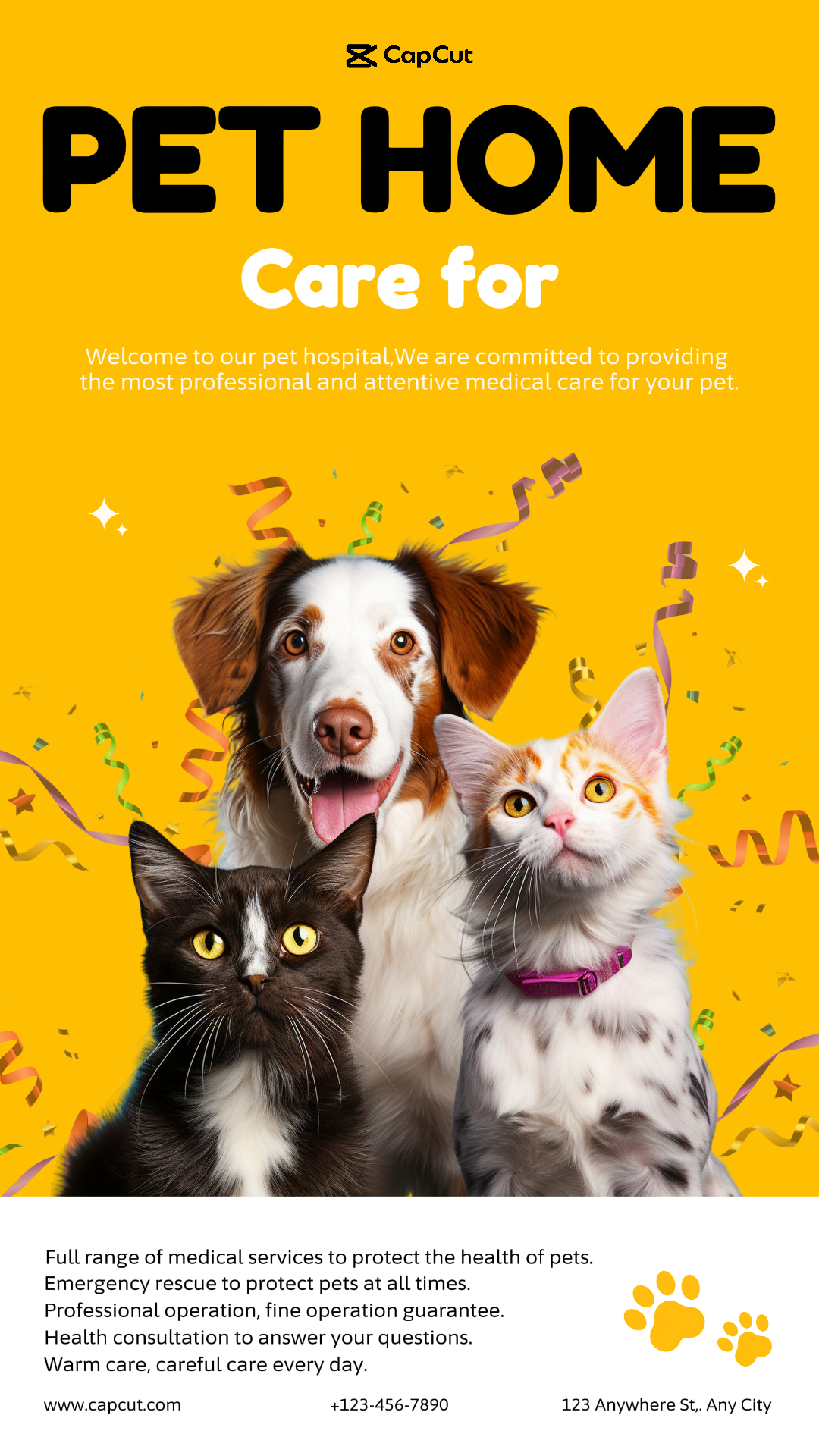 Life Service Service show pet shop minimalist style​