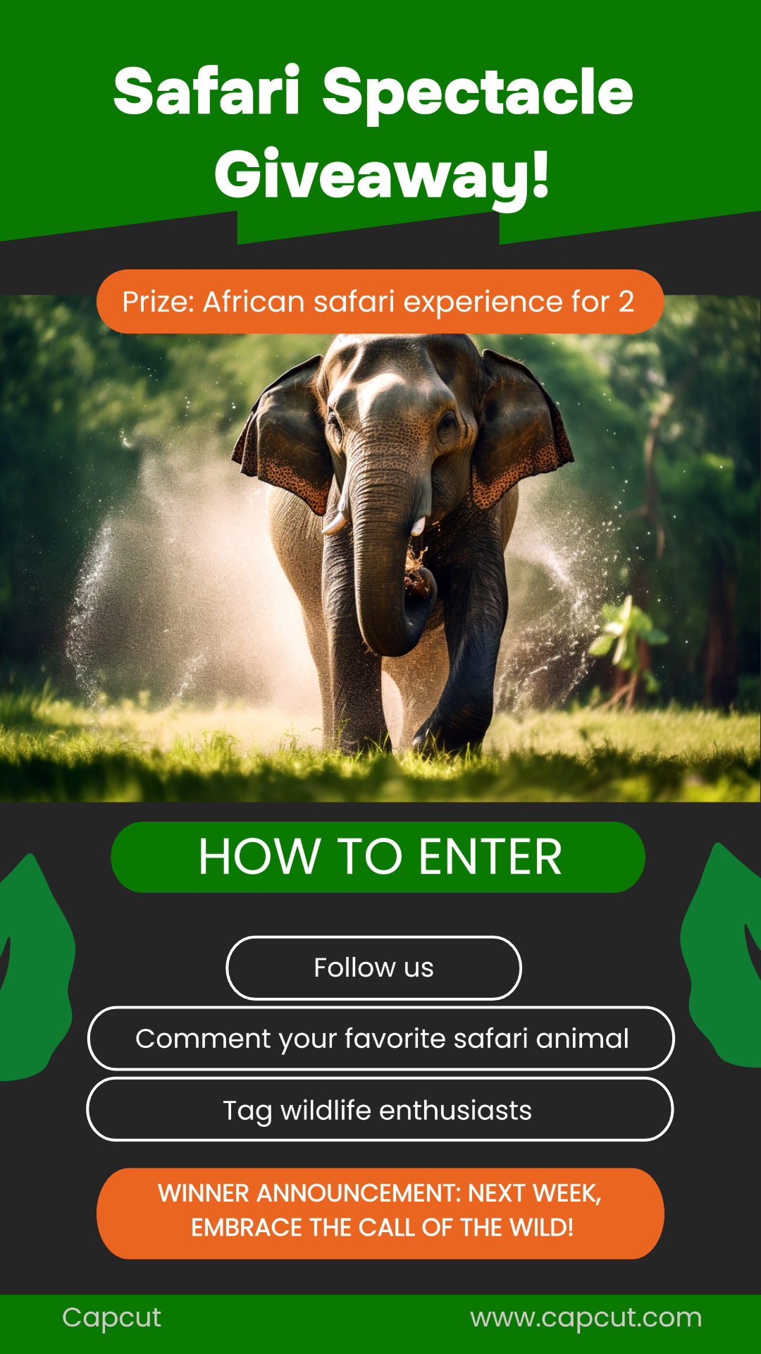 Safari Ticket Giveaway Instagram Story Minimalist