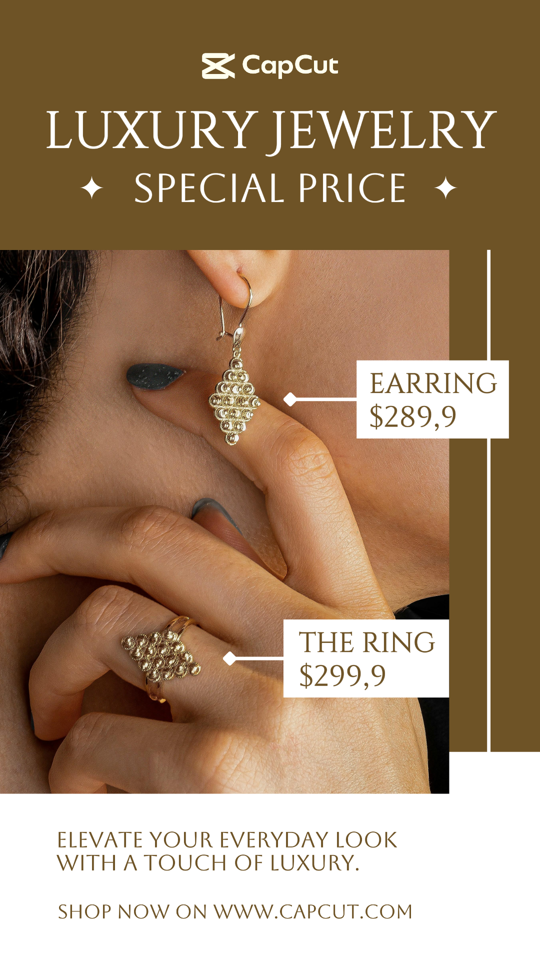 Jewelry and Accessories Promotion Instagram Story