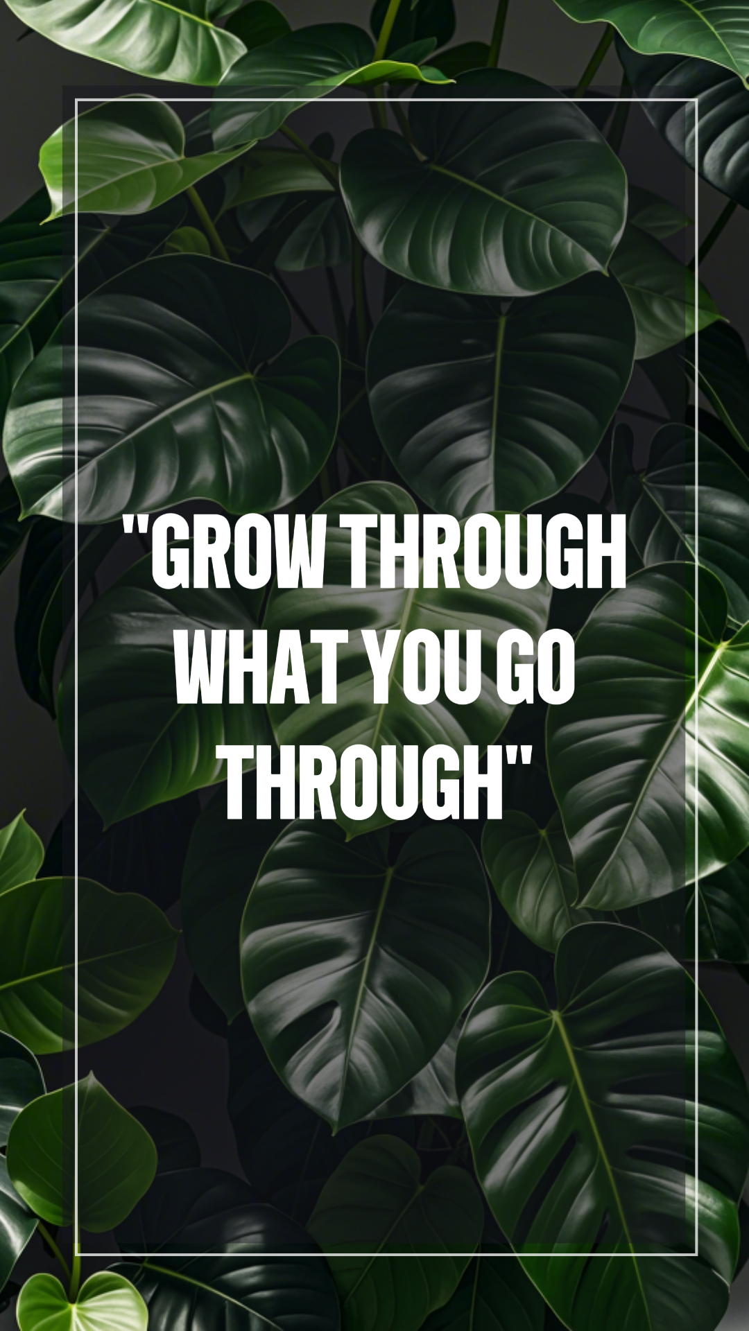 Wallpaper Grow through what you go through IG Story