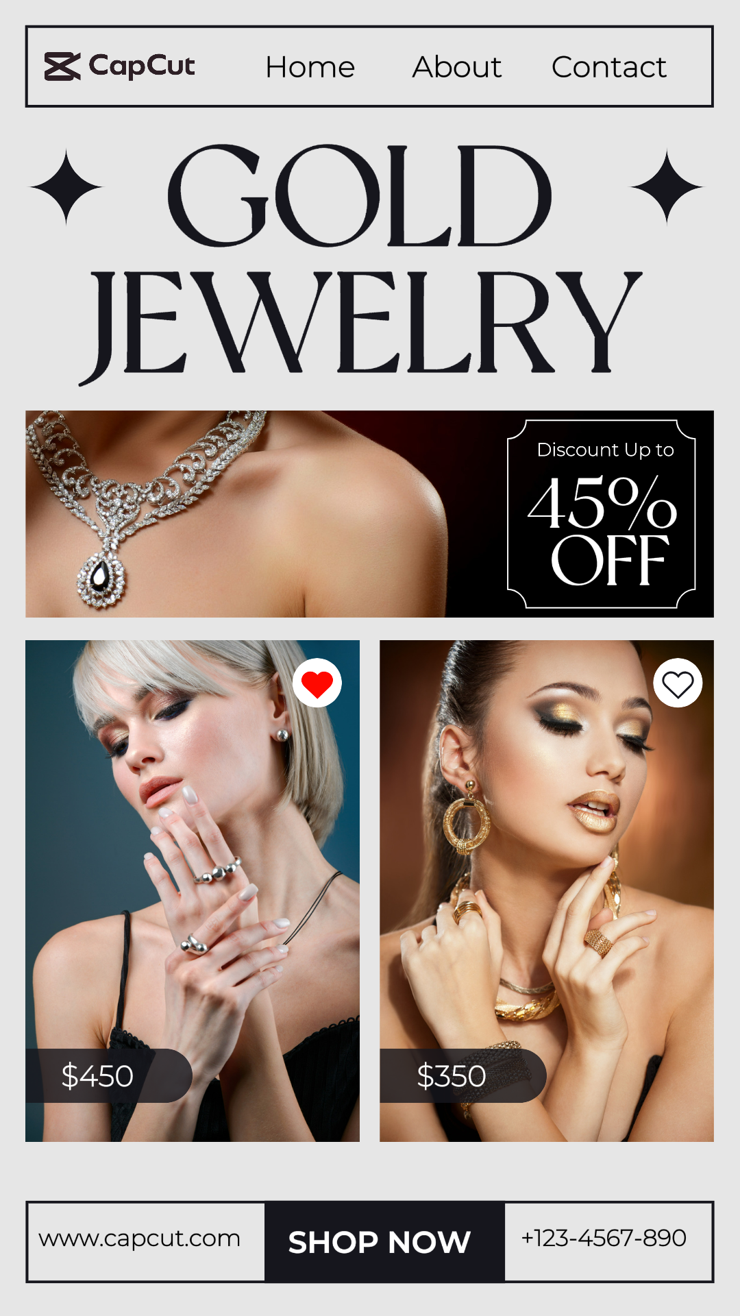 Fashion Jewelry Promotion Instagram Story