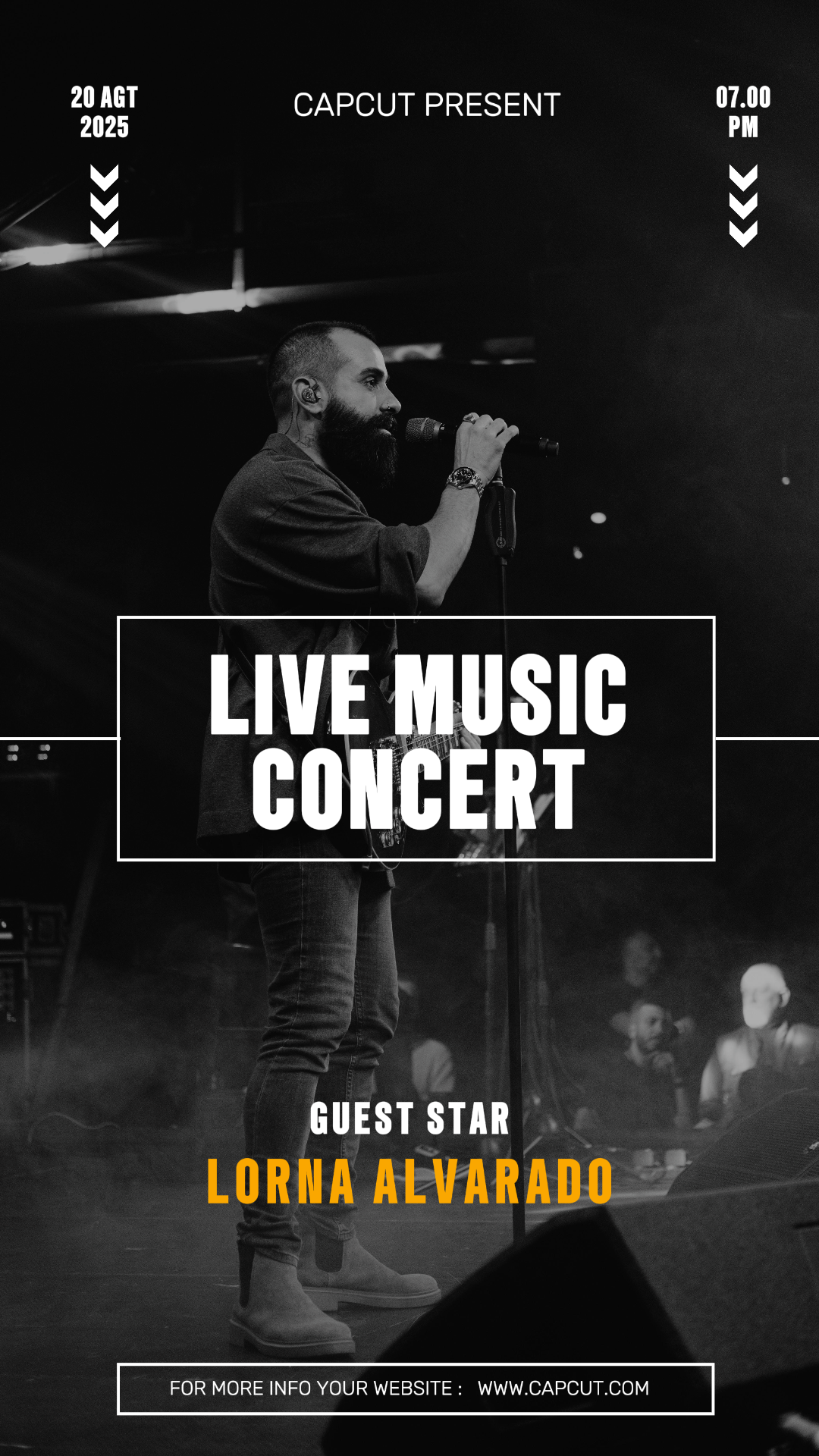 Entertainment Music Festival Instagram Story