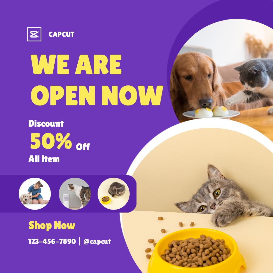 Förderung von Haustierserien Instagram Post