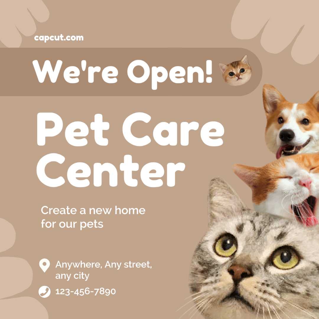Brown Pet Care Promotion Instagram Post