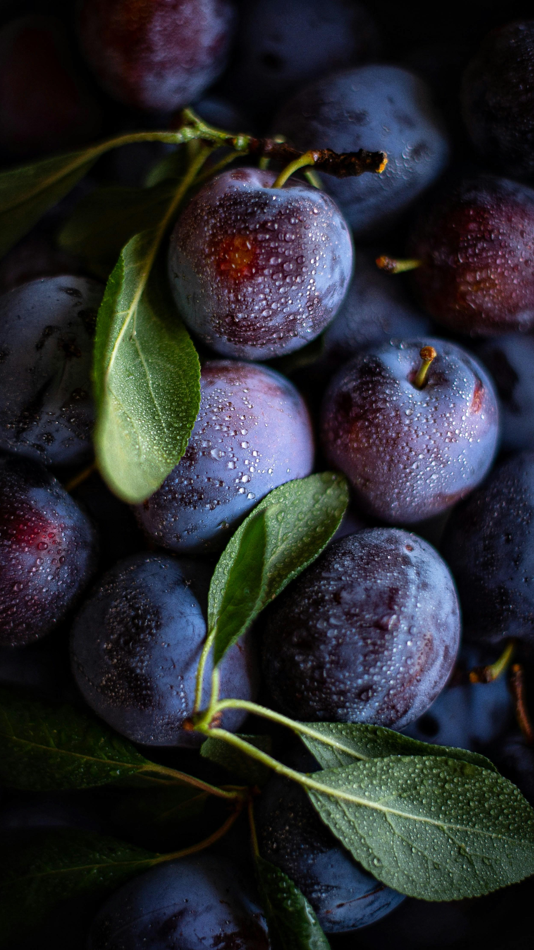 Poster kreatif wallpaper Buah Segar