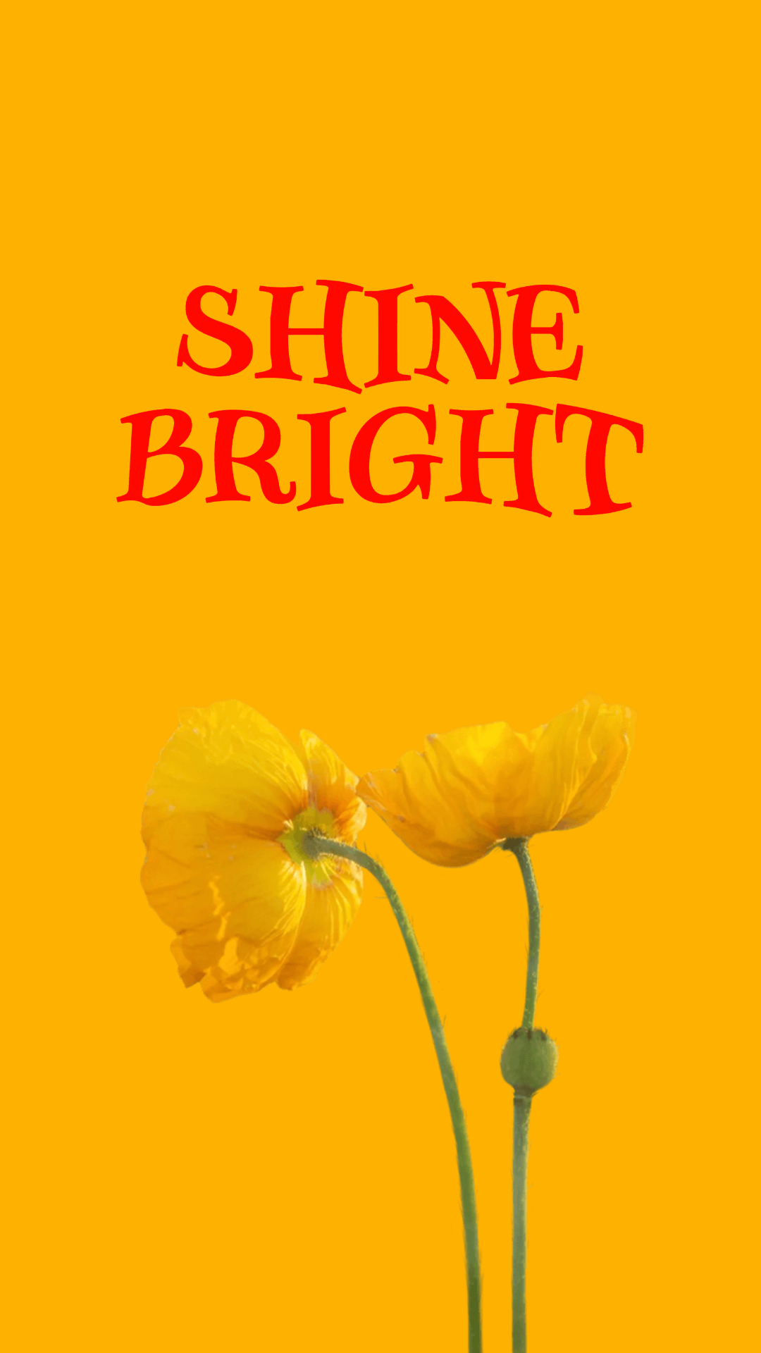 Image template wallpaper 9:16 Shine bright