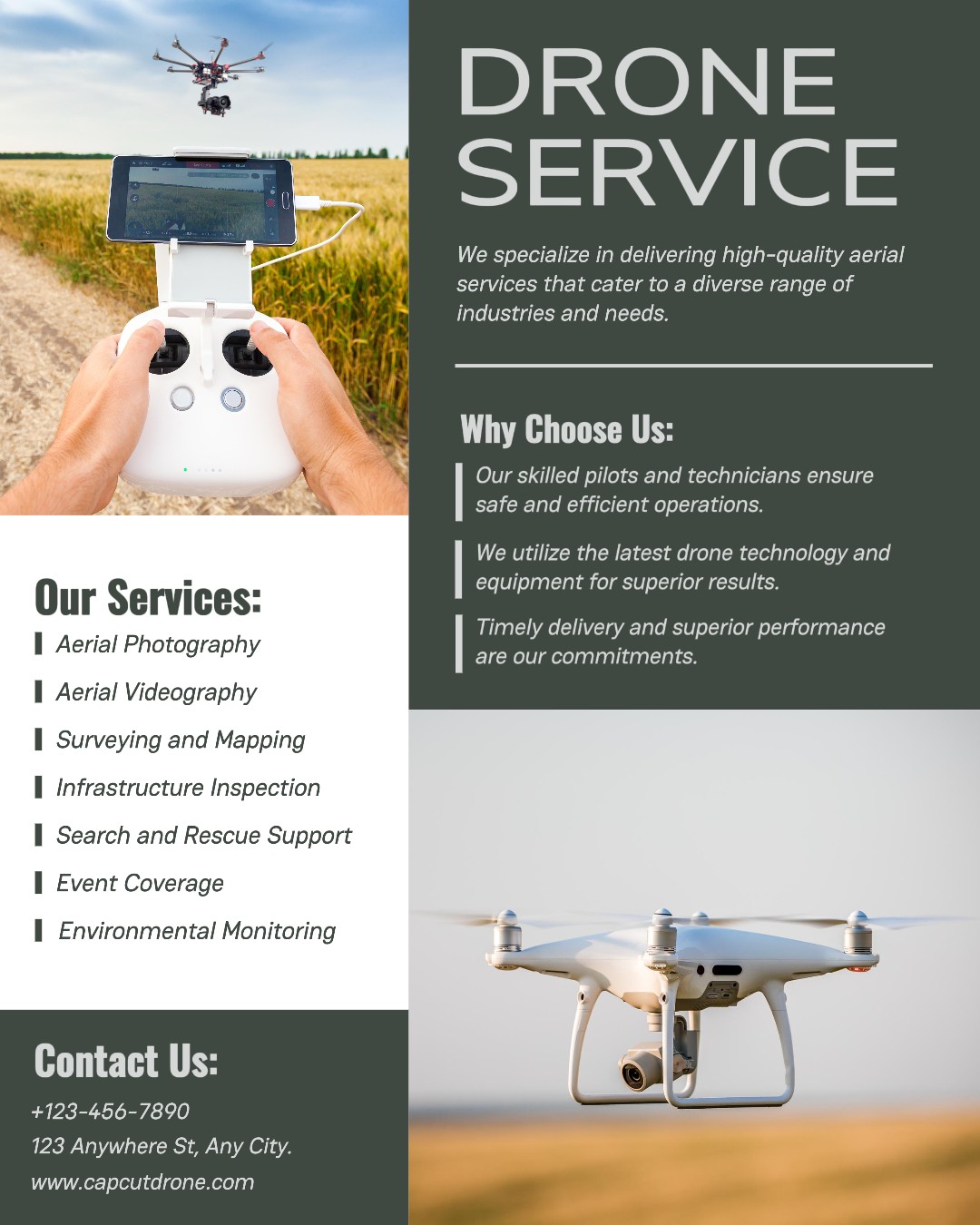 Autres services de drones de l'industrie Portrait Instagram