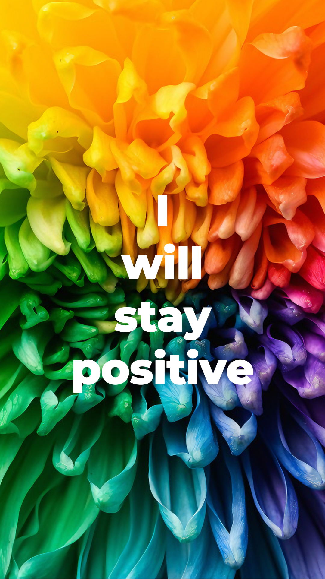 Wallpaper creative poster flower fullcolor