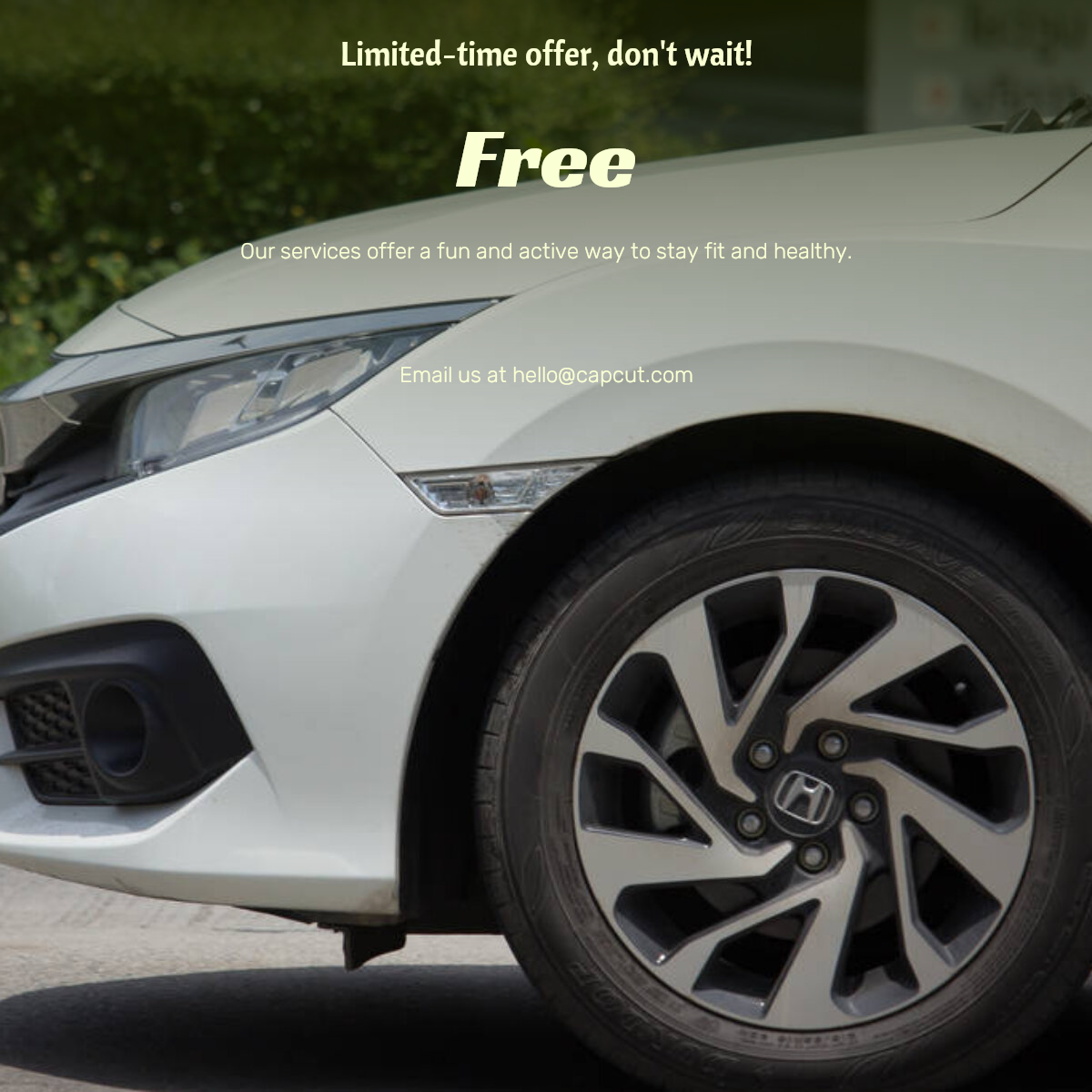 Promoção de vendas de carros e peças de automóveis