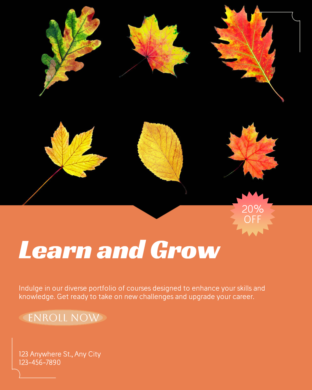 Educação e formação Geral