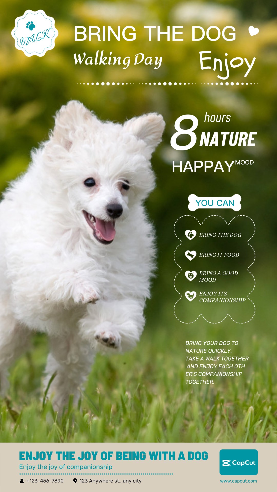 Pet Traga o cão Exibição Bonito