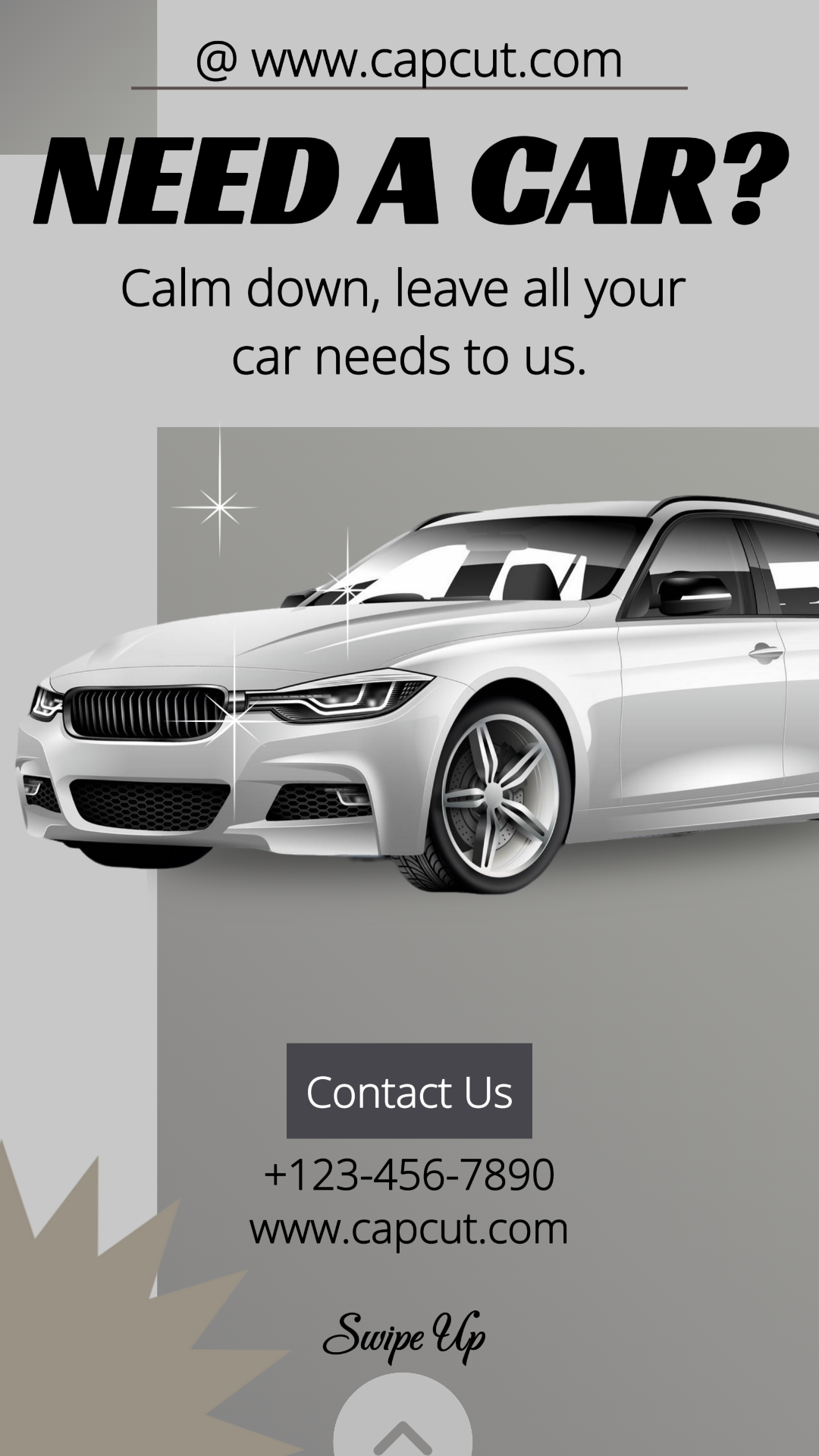 Cars Marketing Poster Instagram Story Need a Car