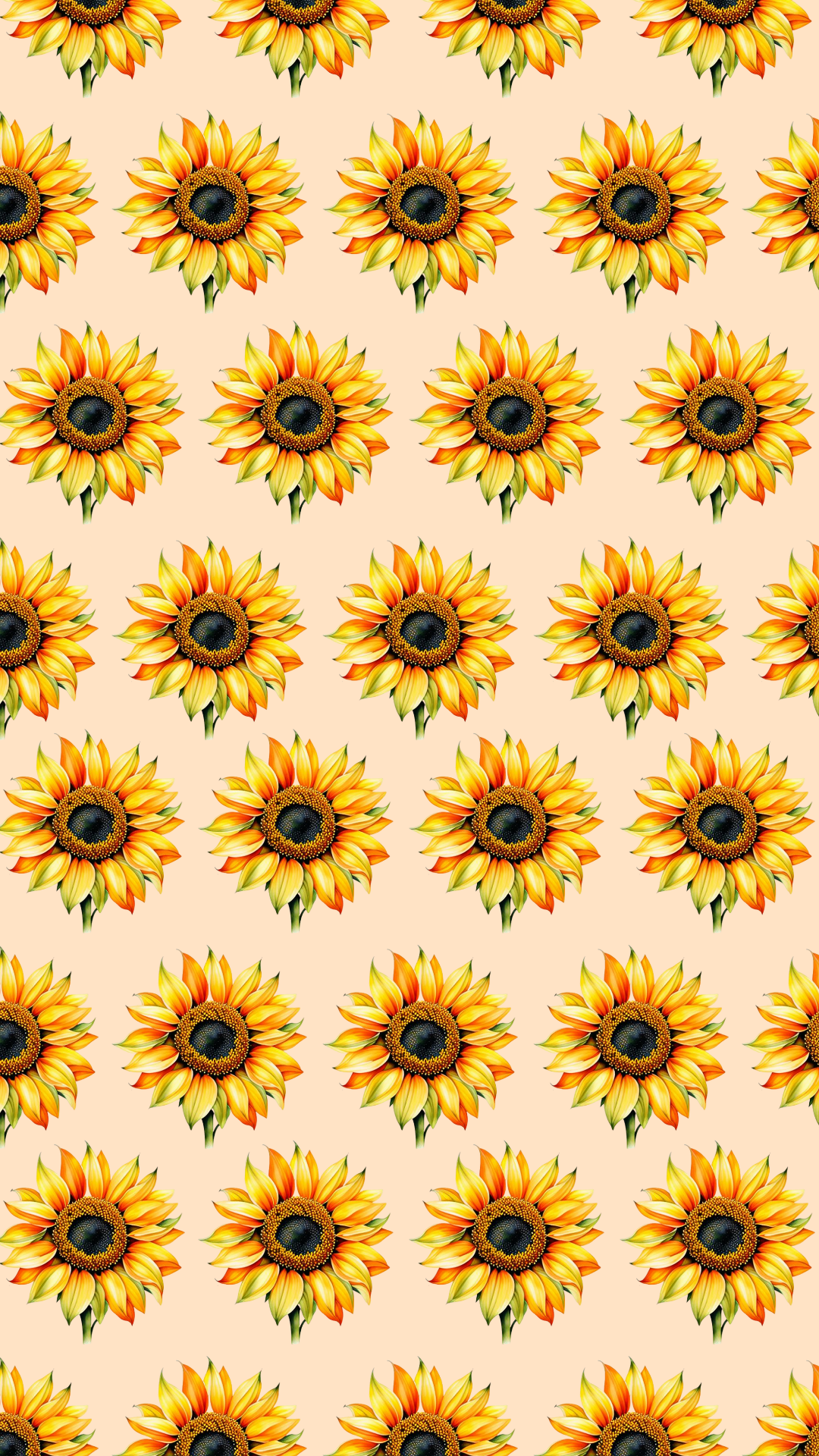 Fondo de pantalla hermoso amarillo girasol