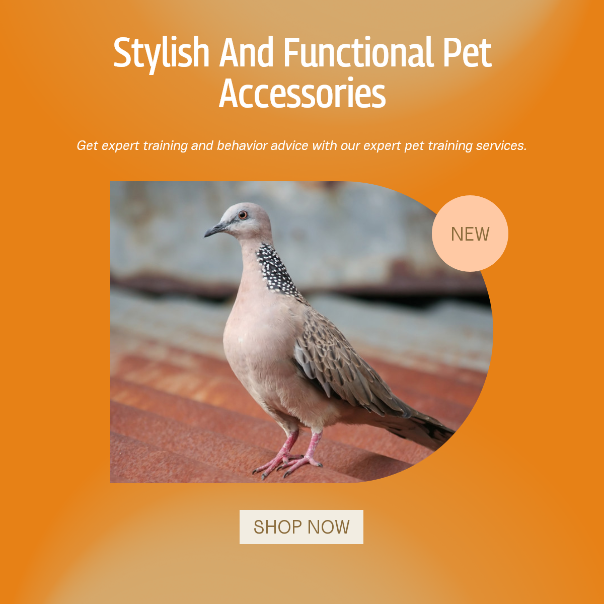 Pet industry Effect Display