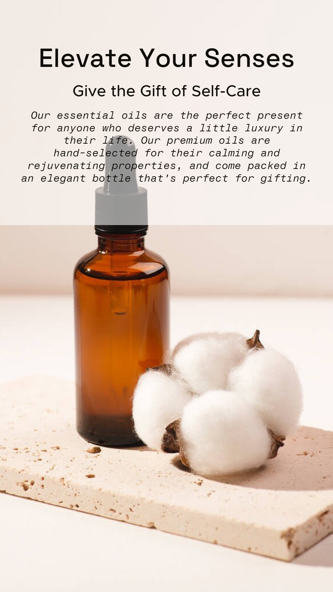 Schönheit & Körperpflege Geschenk