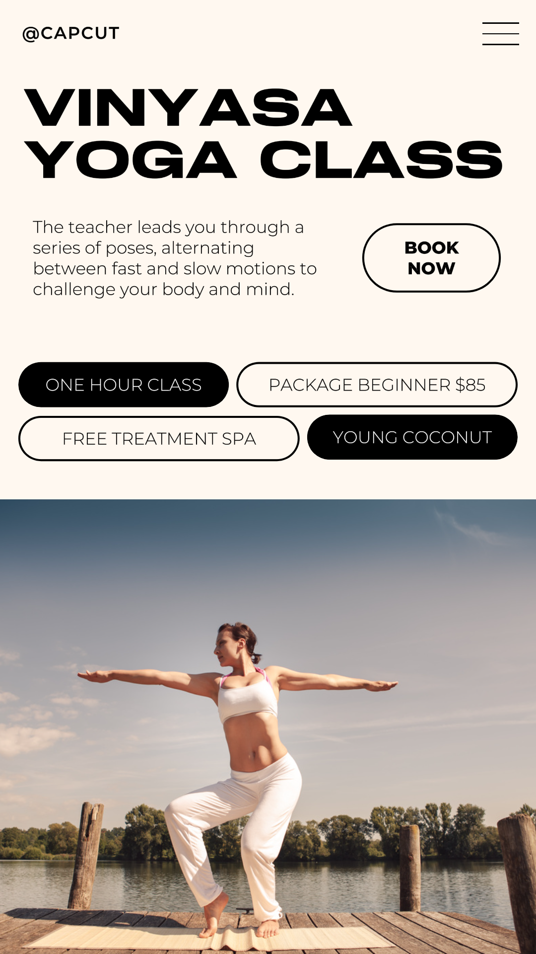 Wellness Vinyasa Yoga Promotion Instagram Story