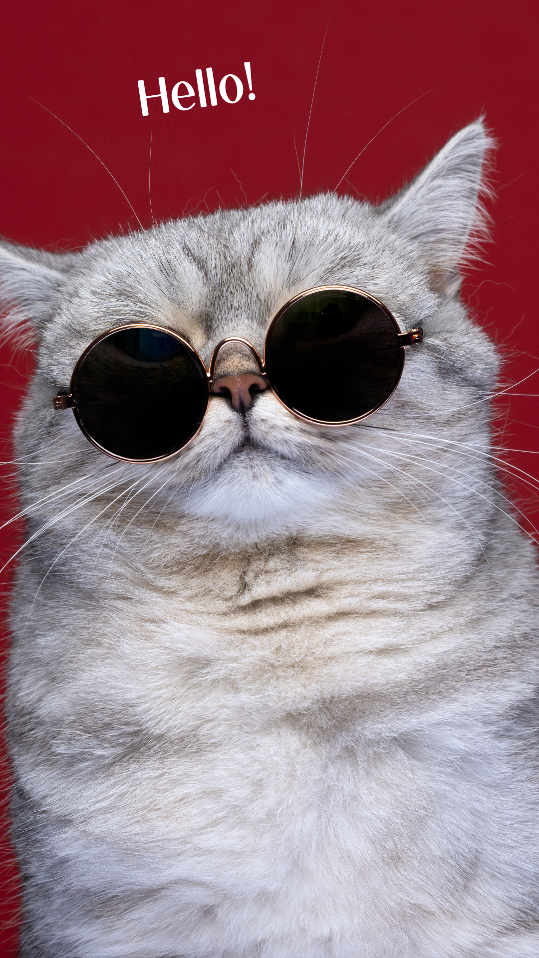 Mascotas en miniatura de Tiktok